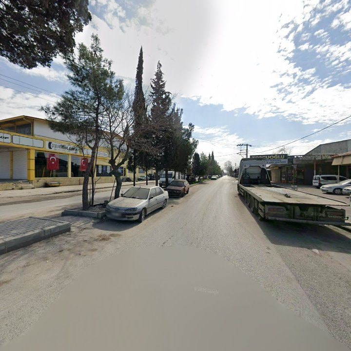 Fotoğraf 5