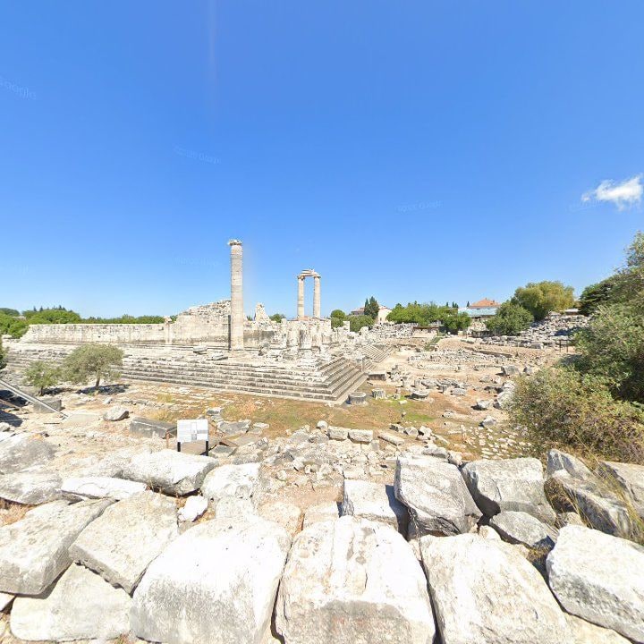 Fotoğraf 9
