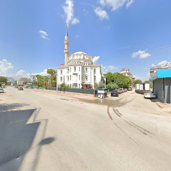 Fotoğraf 10