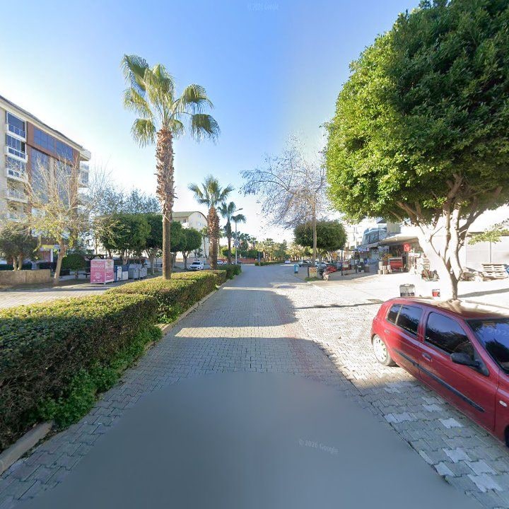 Fotoğraf 9