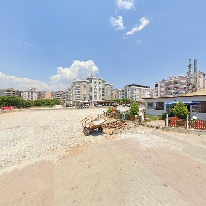 Fotoğraf 11