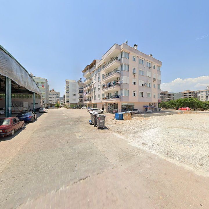 Fotoğraf 10