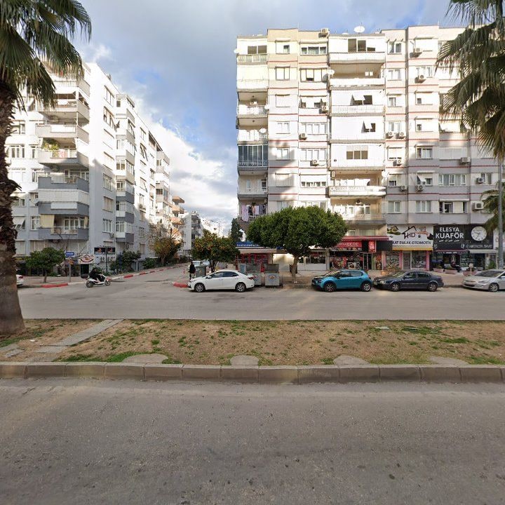 Fotoğraf 8
