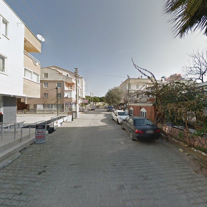 Fotoğraf 9