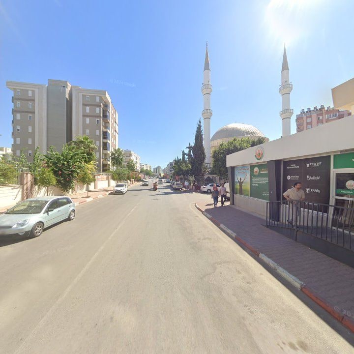 Fotoğraf 8