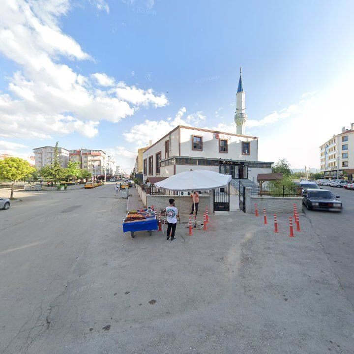 Fotoğraf 5