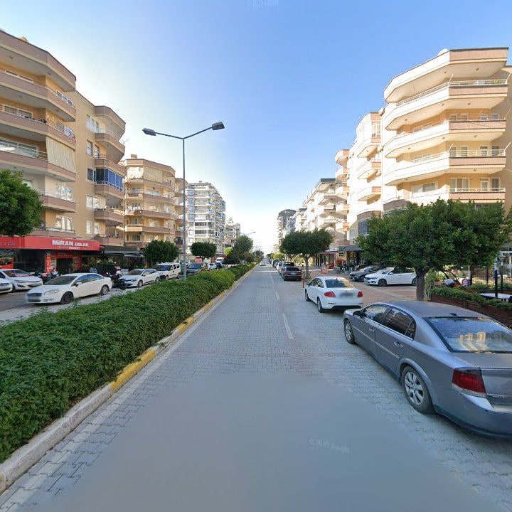 Fotoğraf 13