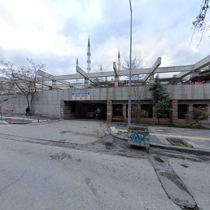 Fotoğraf 10