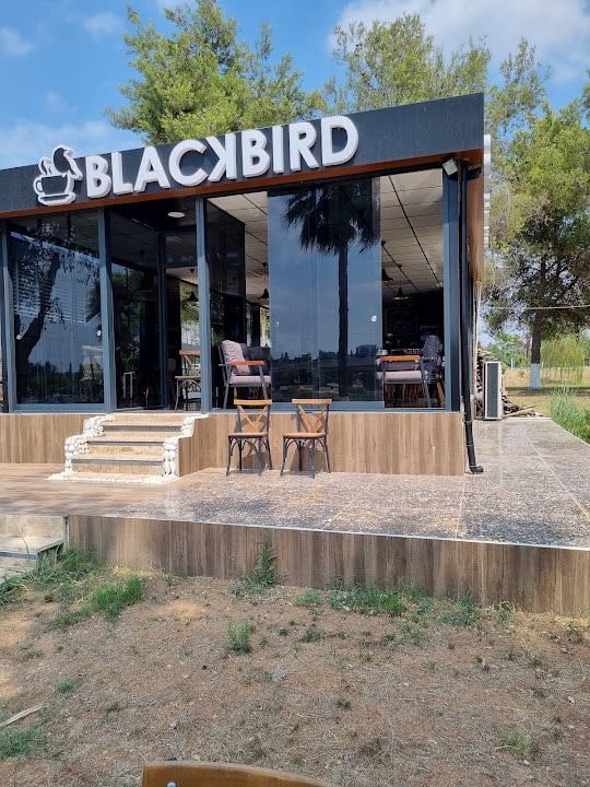 Blackbird Coffee&Kitchen