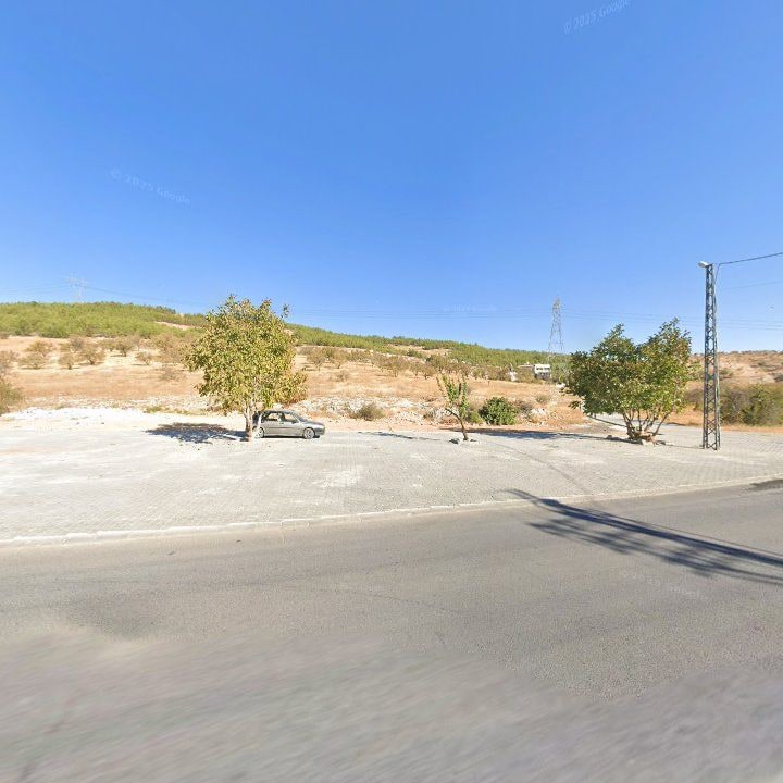 Fotoğraf 10