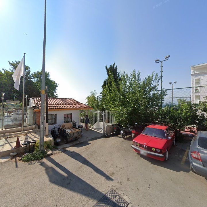 Fotoğraf 8