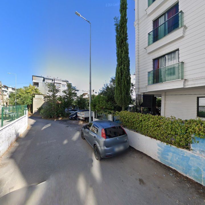 Fotoğraf 10