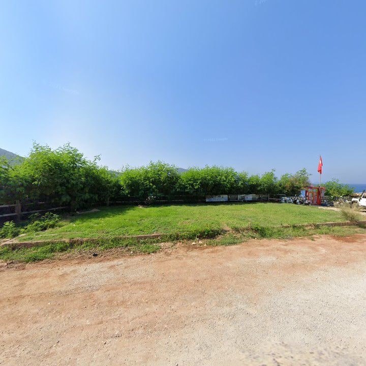 Fotoğraf 8