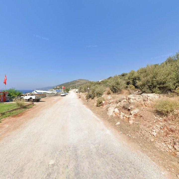 Fotoğraf 9