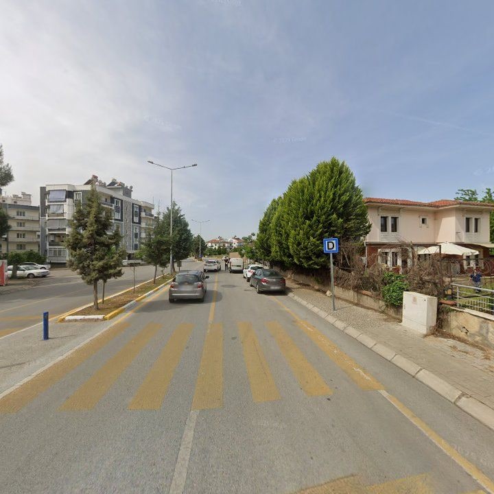 Fotoğraf 11