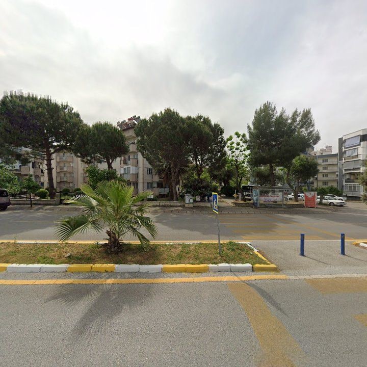 Fotoğraf 10