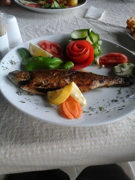 Fotoğraf 6