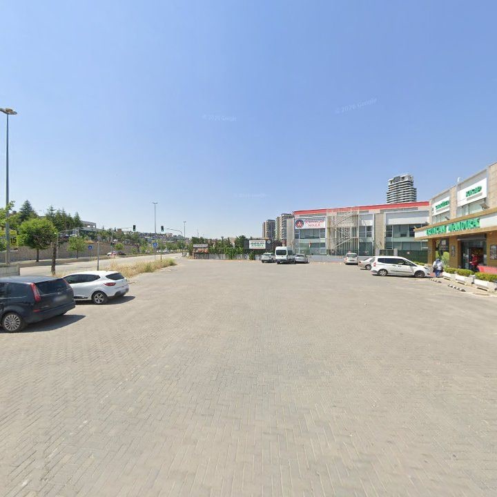 Fotoğraf 8