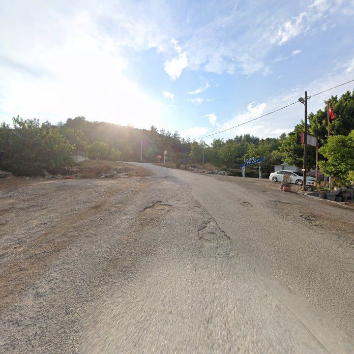 Fotoğraf 9