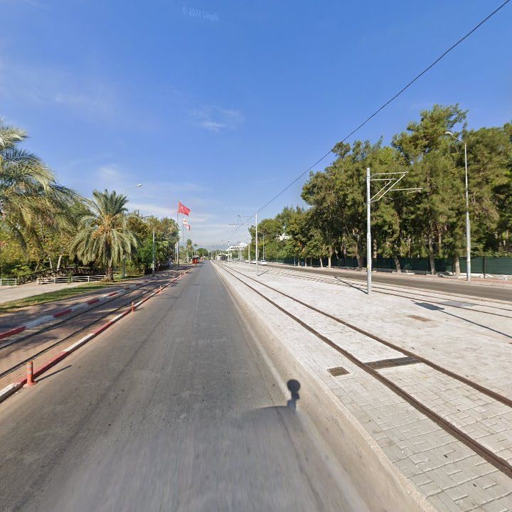 Fotoğraf 9