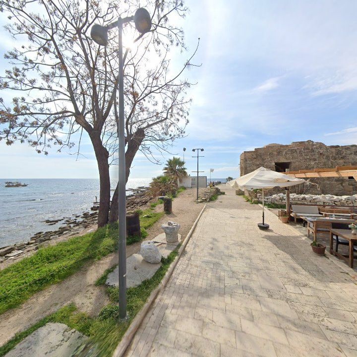 Fotoğraf 12