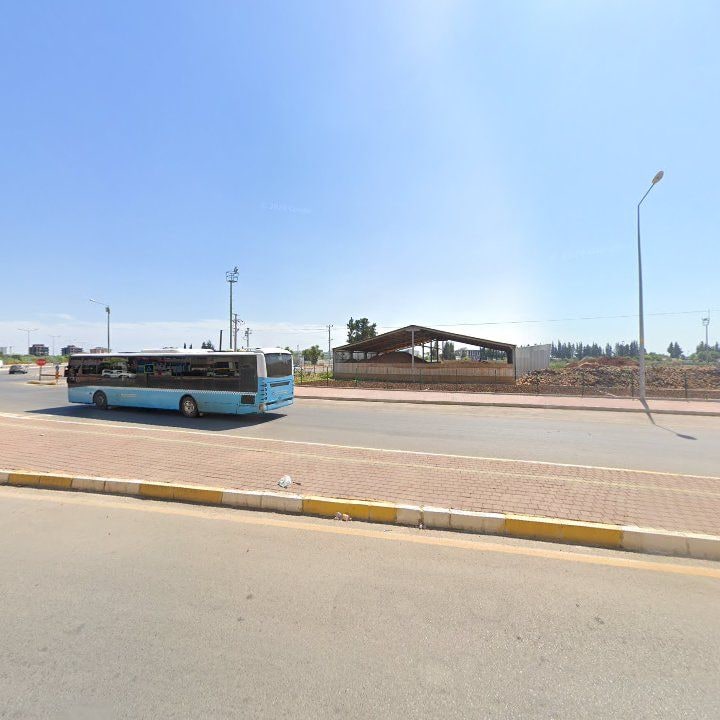 Fotoğraf 8