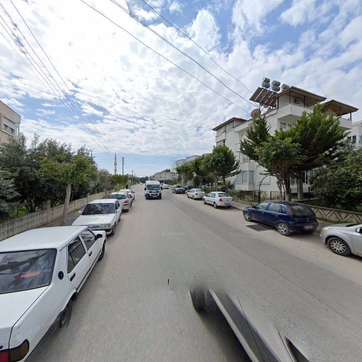 Fotoğraf 11