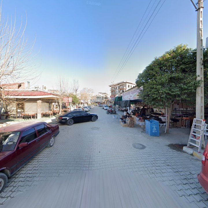 Fotoğraf 8