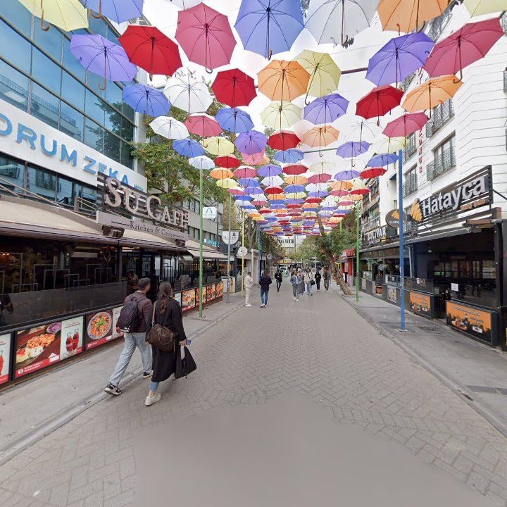 Fotoğraf 11