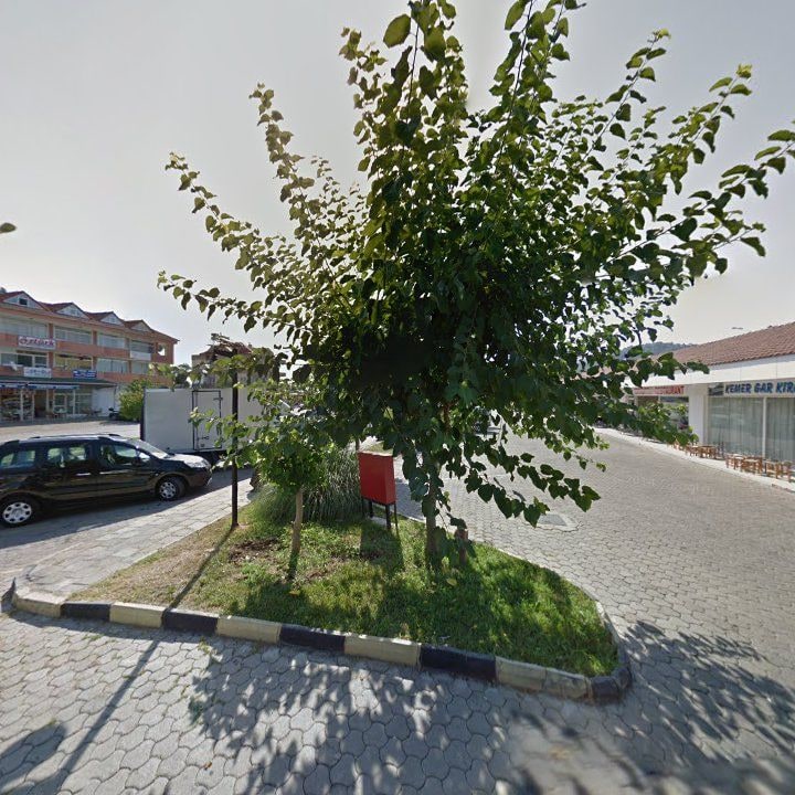 Fotoğraf 7