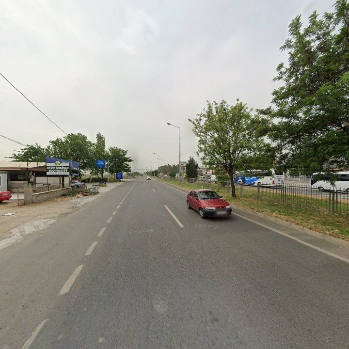 Fotoğraf 8