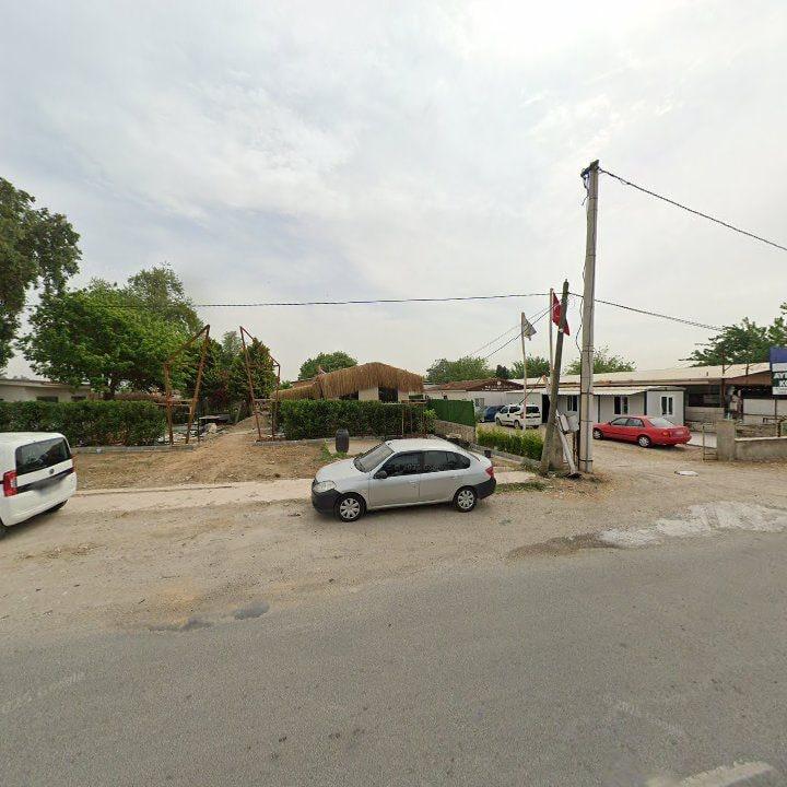 Fotoğraf 7