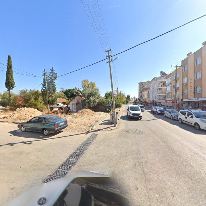 Fotoğraf 7