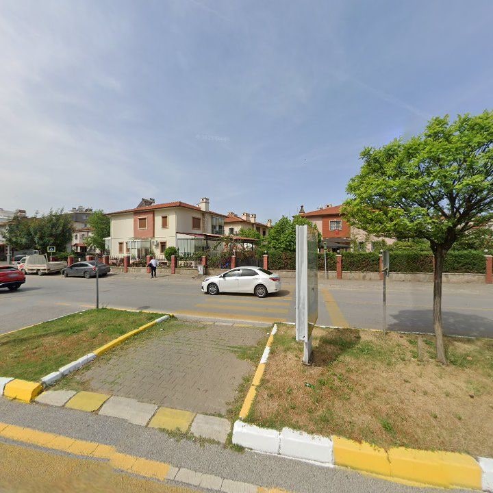 Fotoğraf 12