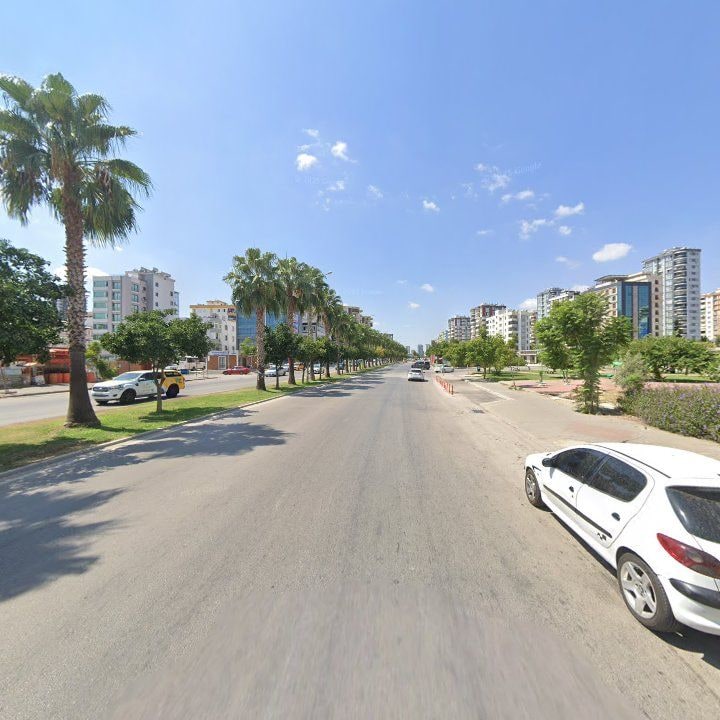 Fotoğraf 10