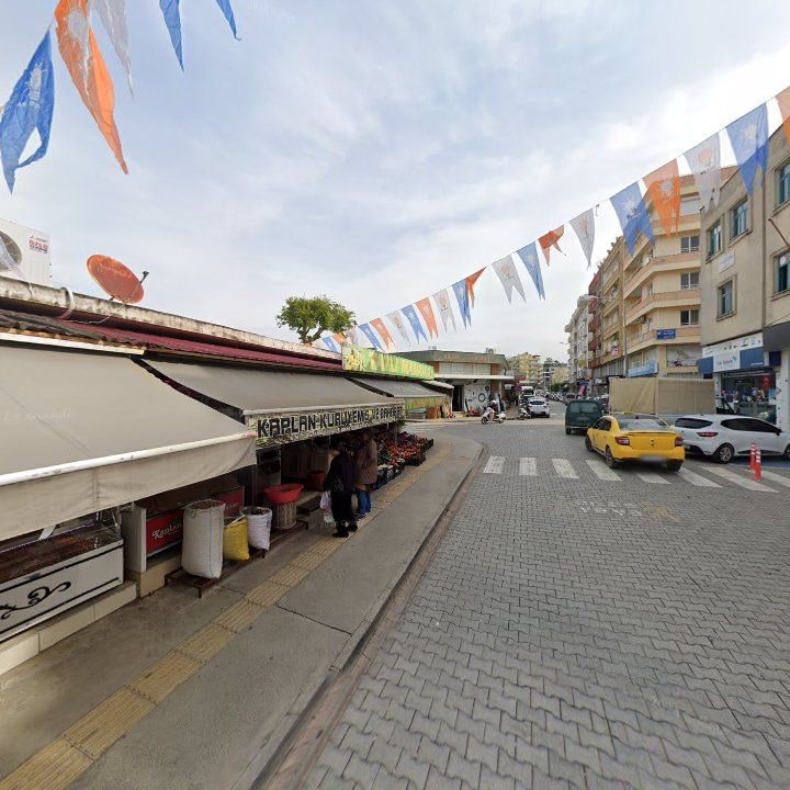 Fotoğraf 10