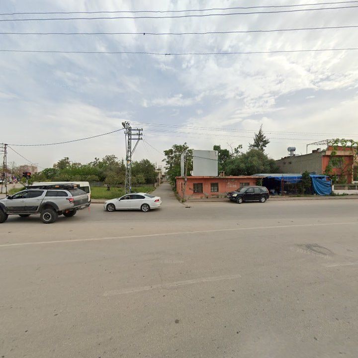 Fotoğraf 10