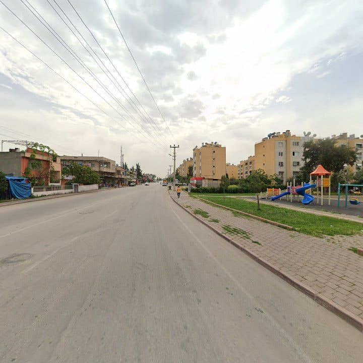 Fotoğraf 11