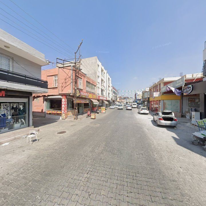 Fotoğraf 6