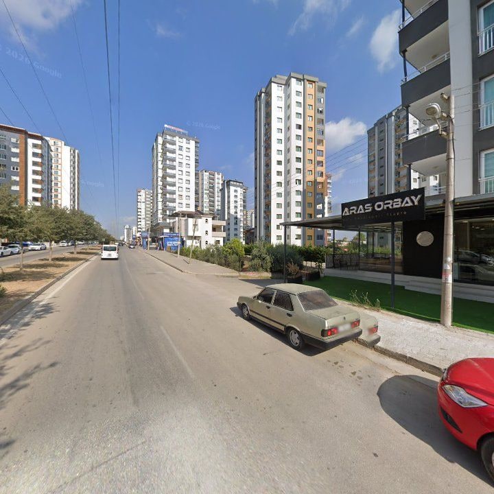 Fotoğraf 10