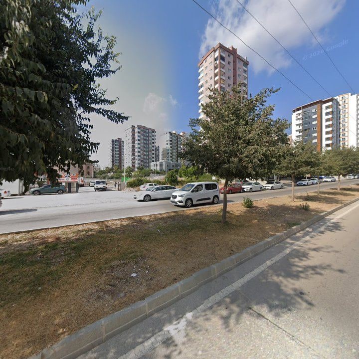 Fotoğraf 9