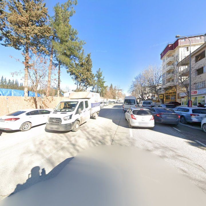 Fotoğraf 9