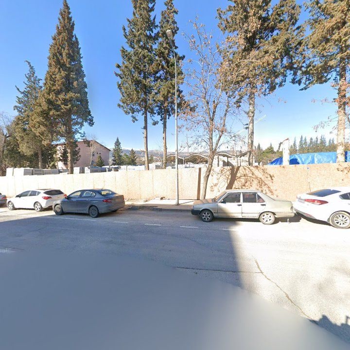 Fotoğraf 8