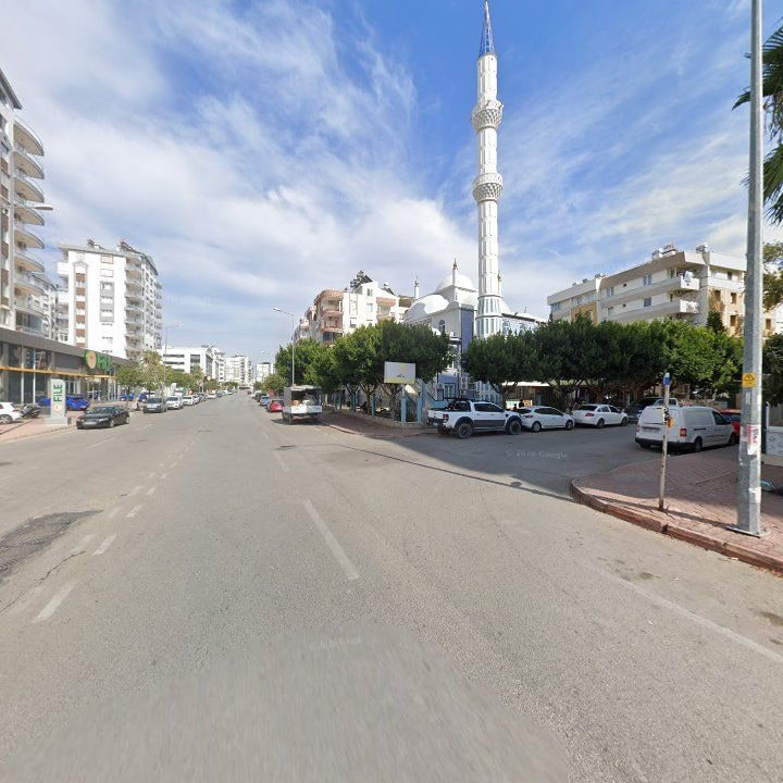 Fotoğraf 9