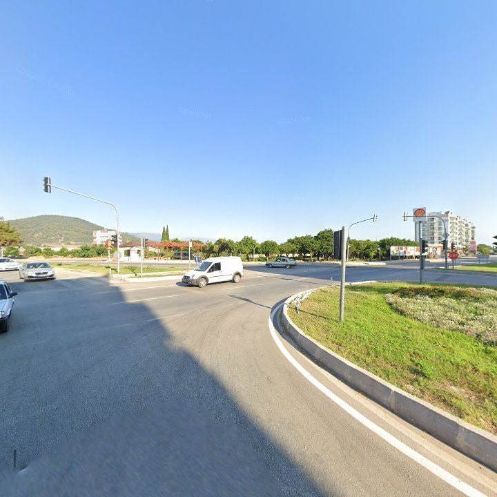 Fotoğraf 11