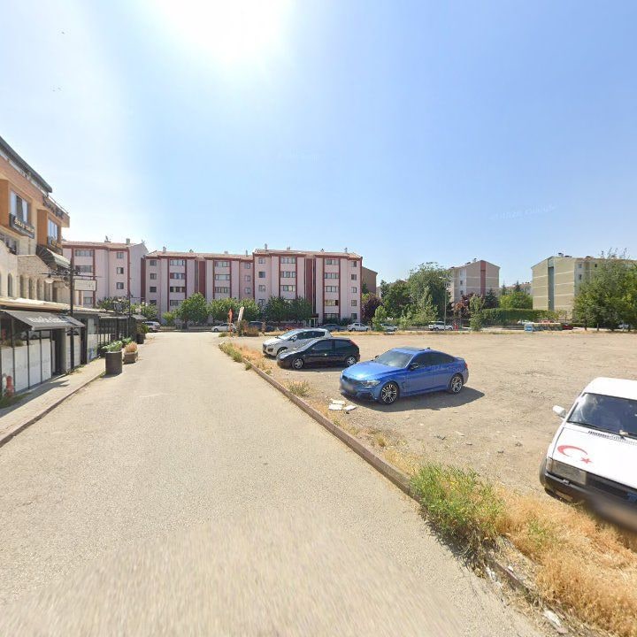 Fotoğraf 11