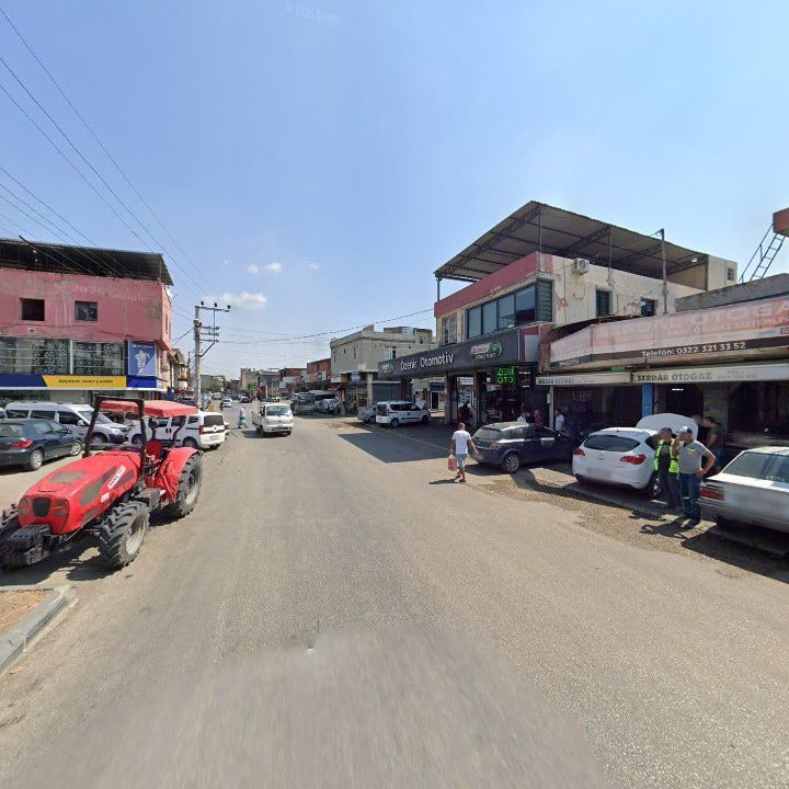 Fotoğraf 8