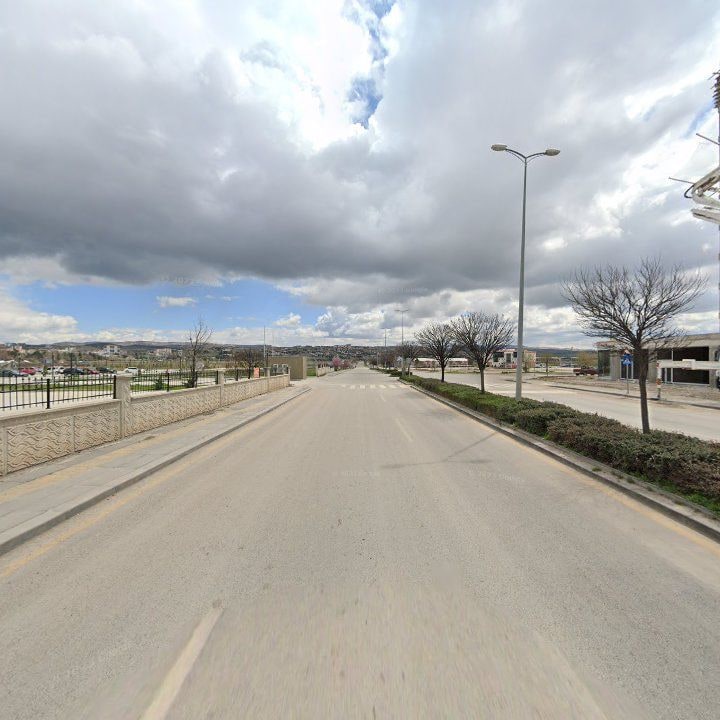 Fotoğraf 12