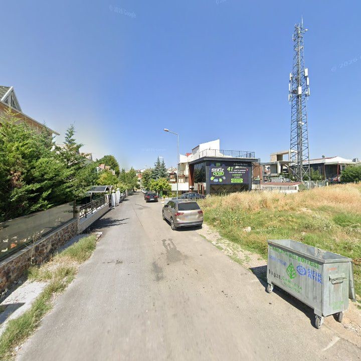 Fotoğraf 9