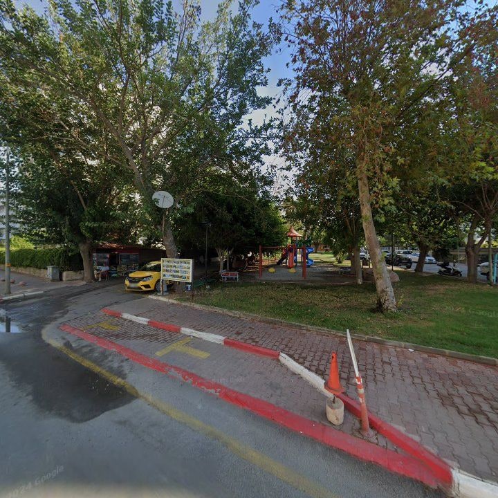 Fotoğraf 8